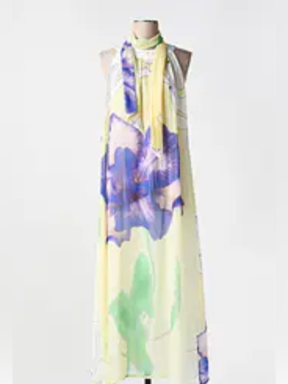 Elisa Cavaletti St. Dan Art Sprone Sleeveless Maxi Dress A1